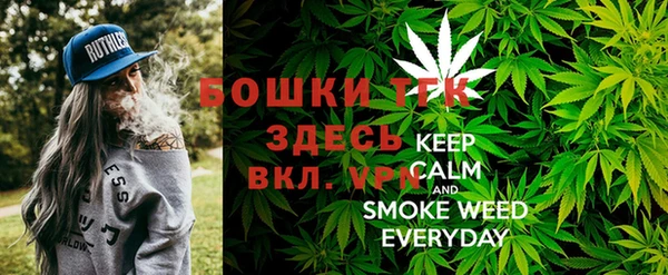 гашик Вязьма