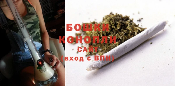 гашик Вязьма