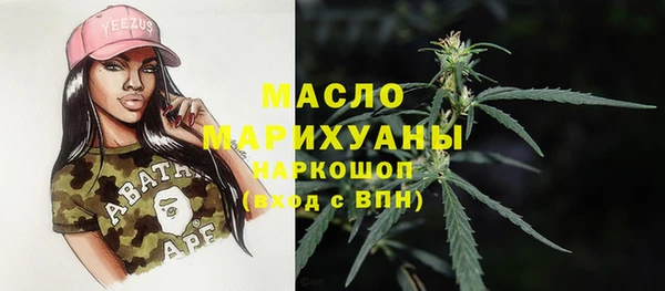 гашик Вязьма