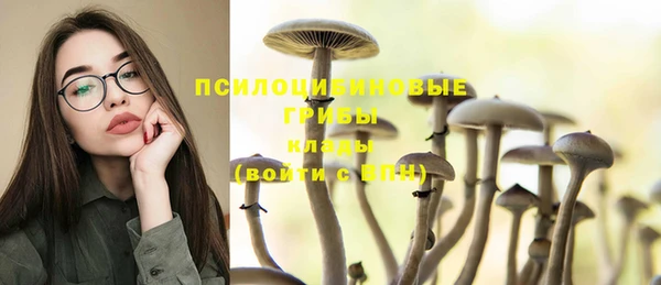 Альфа ПВП Вязники