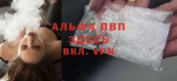 гашик Вязьма