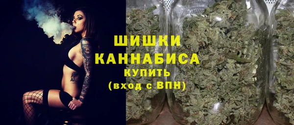 гашик Вязьма