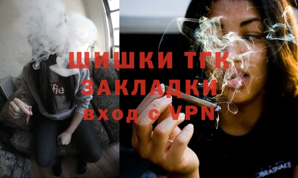 амф Вяземский
