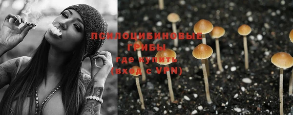Альфа ПВП Вязники