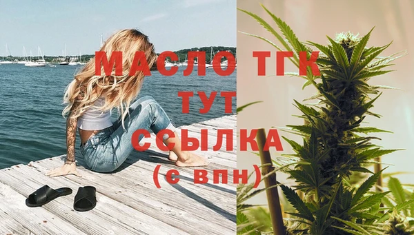амф Вяземский