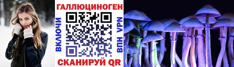 где можно купить наркотик kraken сайт Галлюциногенные грибы Psilocybe Чишмы