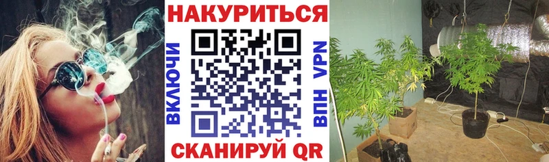 где продают   Чишмы  Канабис THC 21% 